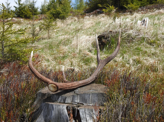 Po včerajšom daždi,pekný deň