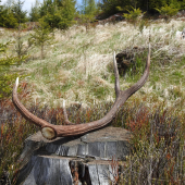 Po včerajšom daždi,pekný deň