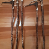 Vychadzkove palice