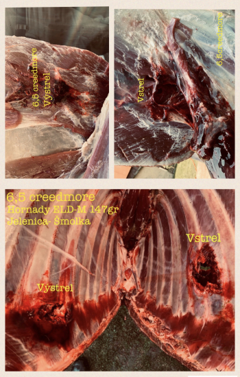 Jelenica vs. 6,5 creedmore