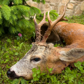 Prišiel jeho čas....