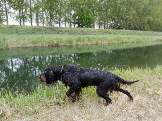 Ellie