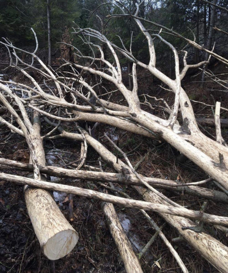 Skrytý neskrytý beriem