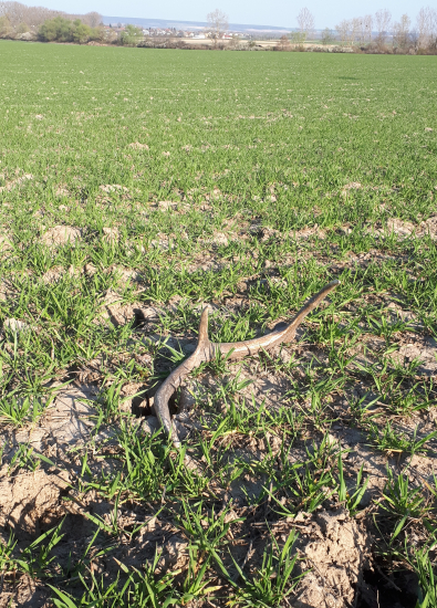 6toračik nad dedinou