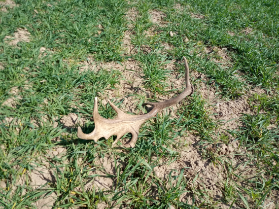 Ďalší kúsok do zbierky