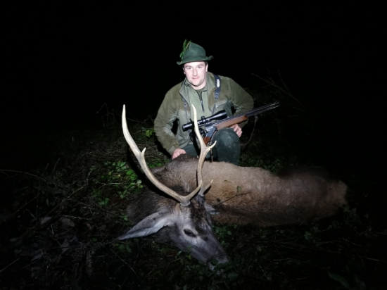 Vytúžený vychodený prvý jeleň