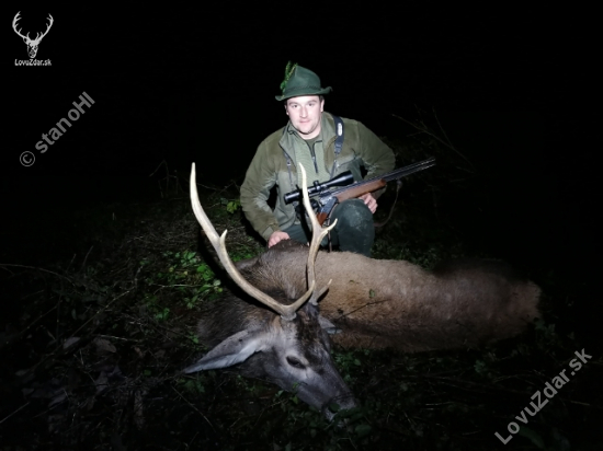 Vytúžený vychodený prvý jeleň