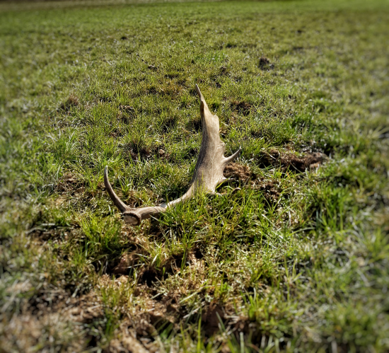 Oko zazrelo na ďaleko