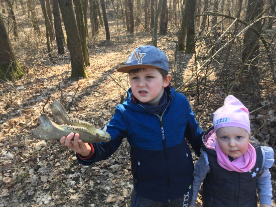 Prechádzky po prírode počas karantény.