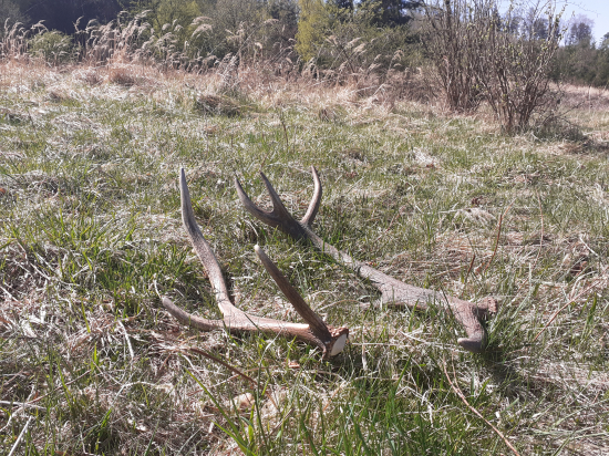 Všetky treba pozbierať