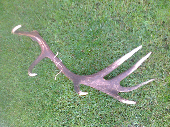 Par niekto Nema?  Pod Polanie  Ocova Lupca Brusno,3 kg