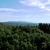 Brestovec - Poľana