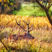 Jedného krásneho slnečného dňa