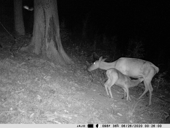 Mamííí je čas na mliečkooo