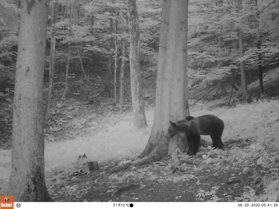 Najskôr zničí a potom ešte pozerá
