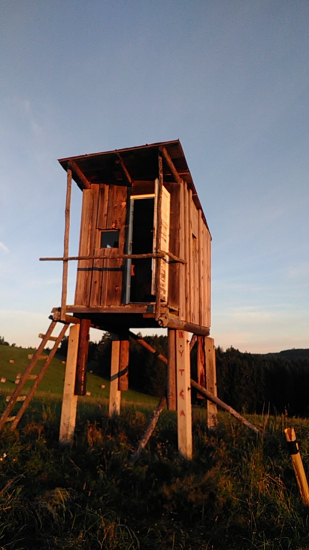 Posed v rannom svetle