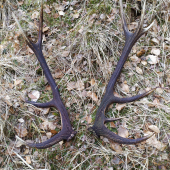 Druhá fotka k id 362498