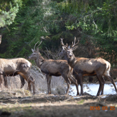 Ďakujeme Bohu že máme takú krásnu prírodu
