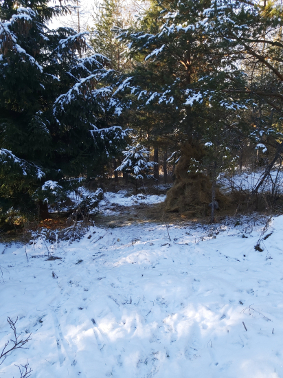 Spokojné môžu Papať.