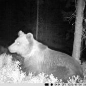 vyhraj Ochranu zákonom a môžeš všetko.
