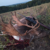 Čerstvé kukuričnisko