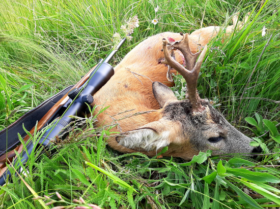 Zavŕšenie krásneho rána