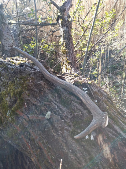 už aj vydlák zhodil kostičku