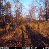 Prišiel sa napapať....