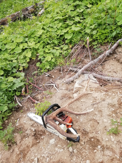 Prerezavkarska odmena