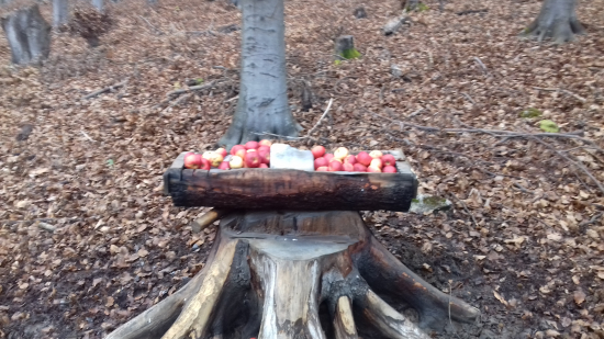 Vianočná nádieľka