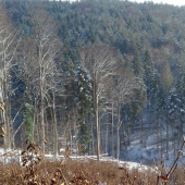 Fakovo