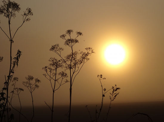 Zahmlený východ slnka