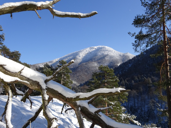 Zima - v pozadí Tlstá