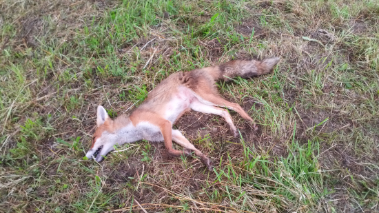 Ďalšie úspešné ráno.