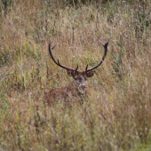 Konečne v príjemných lúčoch slnka