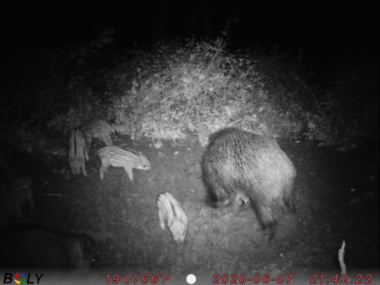 Omladina sa ukázala