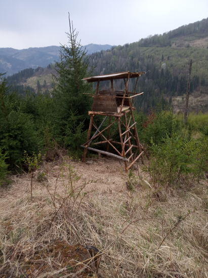 Lavička na rujovisku