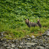 Rodinka z tatranských dolín