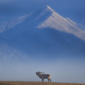 Keď sa spojí krása a divokosť prírody