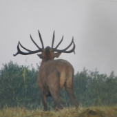 Keď sa nechce otočiť...