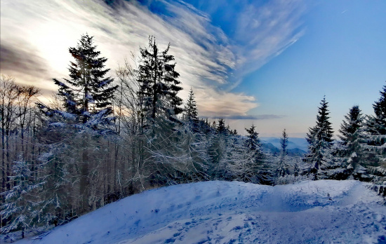 Trochu svetla do tmy...