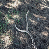 Konečne sa pošťastilo