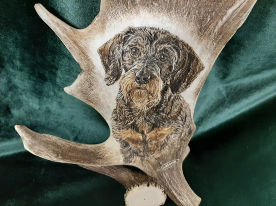 Motiv na daňčí lopatě - DRSNOSRSTÝ JEZEVČÍK - na přání zákazníka