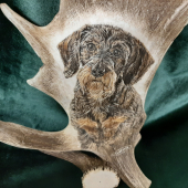 Motiv na daňčí lopatě - DRSNOSRSTÝ JEZEVČÍK - na přání zákazníka