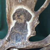 Hodiny z daňčí lopaty - detail motivu - na přání zákazníka