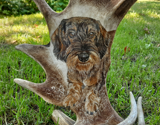 Motiv na daňčí lopatě - na přání