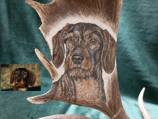 Motiv na daňčí lopatě - na přání zákazníka