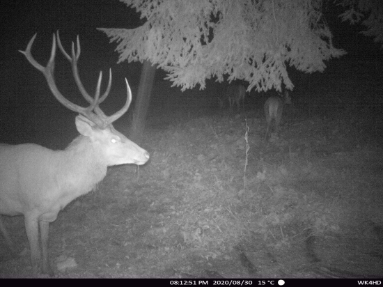 Poprosím názor na vek?