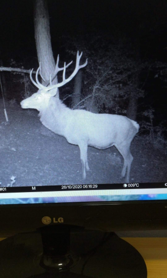 Aký vek by ste povedali?