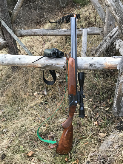 so “starenkou”. Šťastný nový rok :) LZ